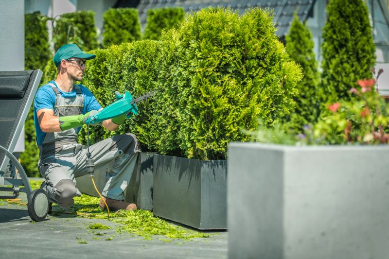 Hedge Maintenance