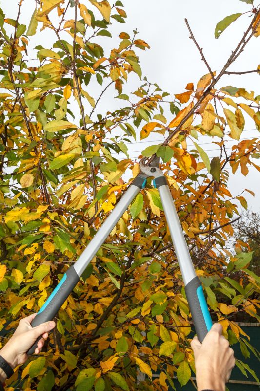 Pruning Tools in Use