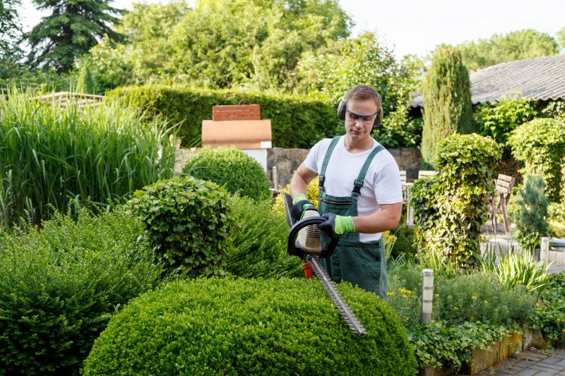 Summer Shrub Trimming