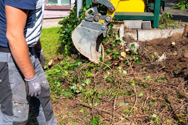 Hedge Removal Service in Charleston