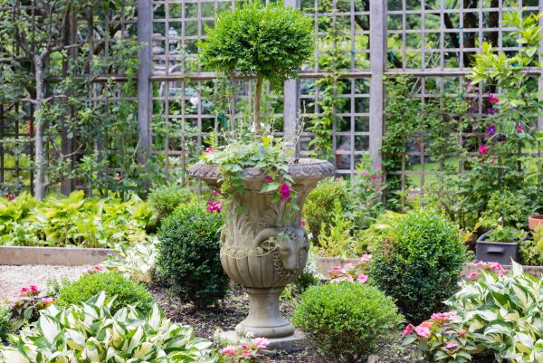 Cost of Topiary Pruning in Charleston