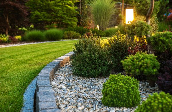 Cost of Bush Relocation in Charleston